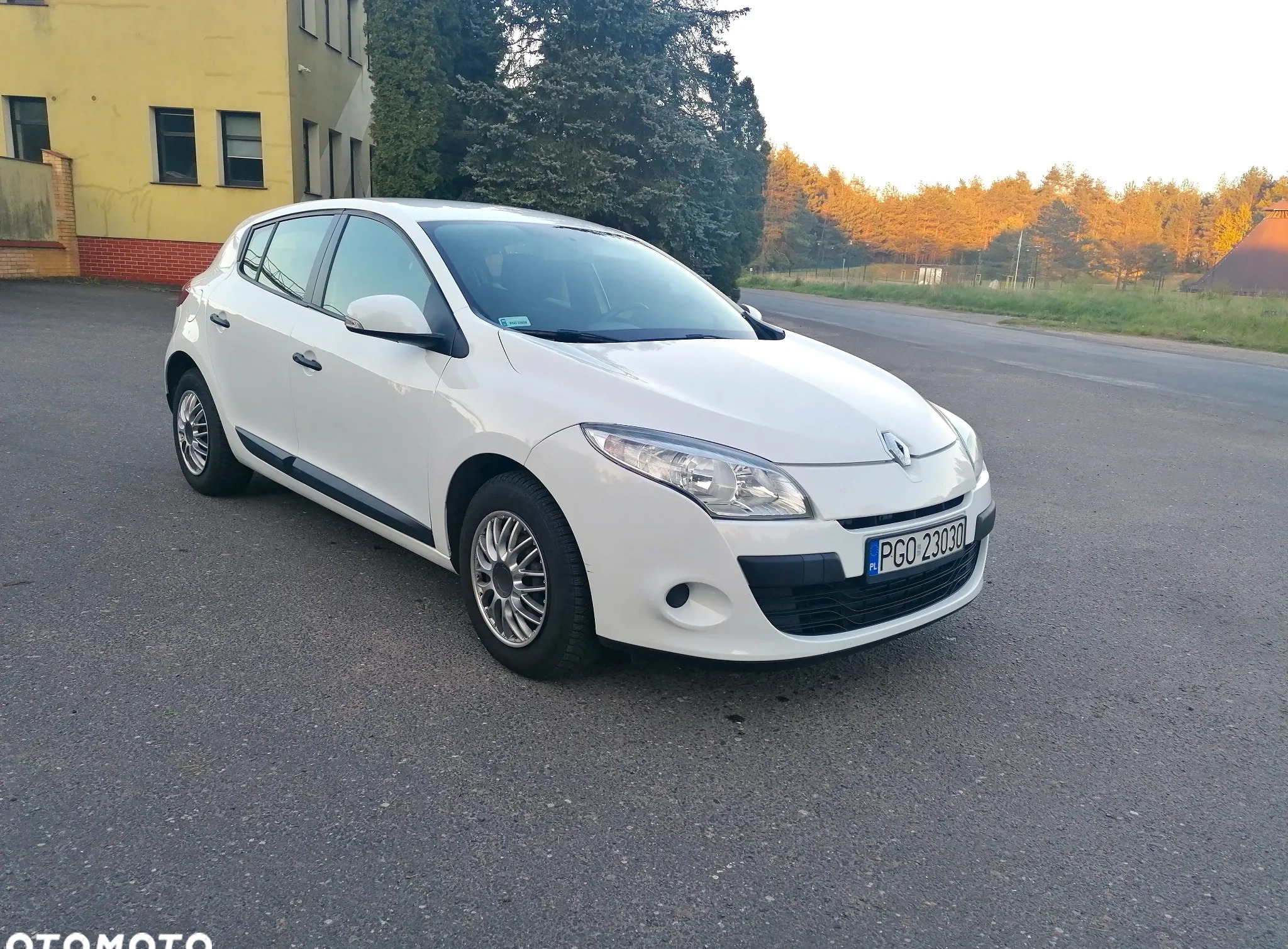 Renault Megane cena 17900 przebieg: 150688, rok produkcji 2010 z Łapy małe 29
